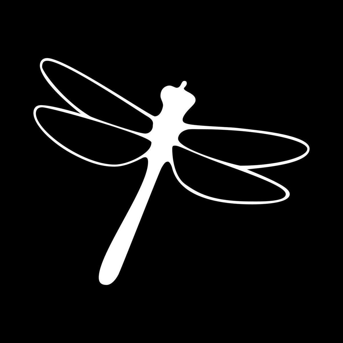 DragonflyLighting tweet media