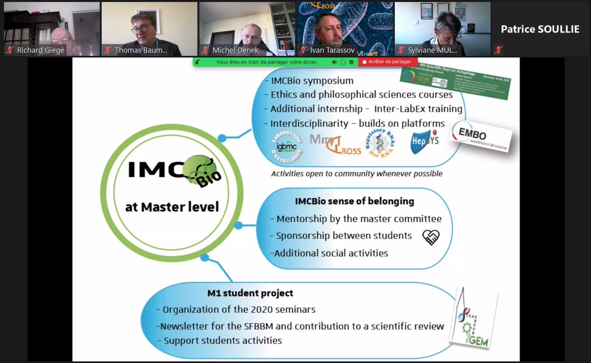 IMC_Bio tweet picture