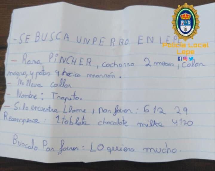 Rocio_jara9's tweet photo. Por favor compartir! 👏🏻
Ojalá pronto trapito pueda estar jugando nuevamente con su pequeña dueña!
@PoliciaLepe #sebusca https://t.co/OE3EIF4HGe