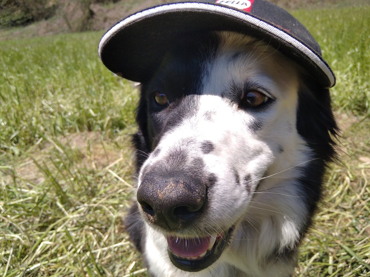 Pica el sol a muntanya. 
#Talaiant