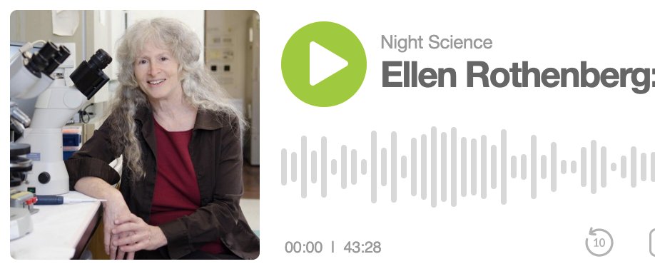 The Night Science Podcast (@nightsciencepod) on Twitter photo S1 E1: Ellen Rothenberg: Inhabiting the data.
In this 1st episode of the Night Science Podcast, Caltech Professor Ellen Rothenberg discusses how "the kind of science that I want to do is exploratory."
nightscience.buzzsprout.com/1744020/834652…
<a href="/ItaiYanai/">Itai Yanai</a> <a href="/MartinJLercher/">Martin Lercher</a> <a href="/evrlab/">@EVRlab</a> S1 E1: Ellen Rothenberg: Inhabiting the data.
In this 1st episode of the Night Science Podcast, Caltech Professor Ellen Rothenberg discusses how "the kind of science that I want to do is exploratory."
nightscience.buzzsprout.com/1744020/834652…
<a href="/ItaiYanai/">Itai Yanai</a> <a href="/MartinJLercher/">Martin Lercher</a> <a href="/evrlab/">@EVRlab</a>