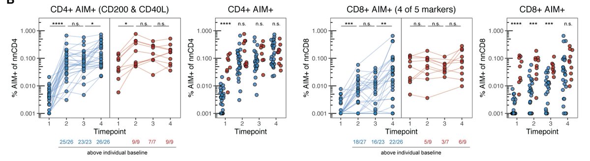 So, do T cells that specifically respond to SARS-CoV-2 get activated by the vaccine? Yes! We saw priming of both CD4+ and CD8+ T cells with mRNA vaccination. The CD4 response was rapid and universal - everyone responded after one dose, regardless of prior SARS-CoV-2 infection.