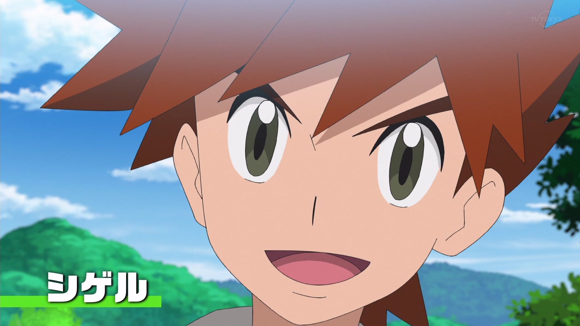 Emmy On Twitter This Is So Cool Im Crying Infernape Vs Moltres Gary Will Be Back For More Than 1 Ep Iris In Her Champion Fit Yes Pls Anipoke Pokemon Https T Co Axzvmk4mnr