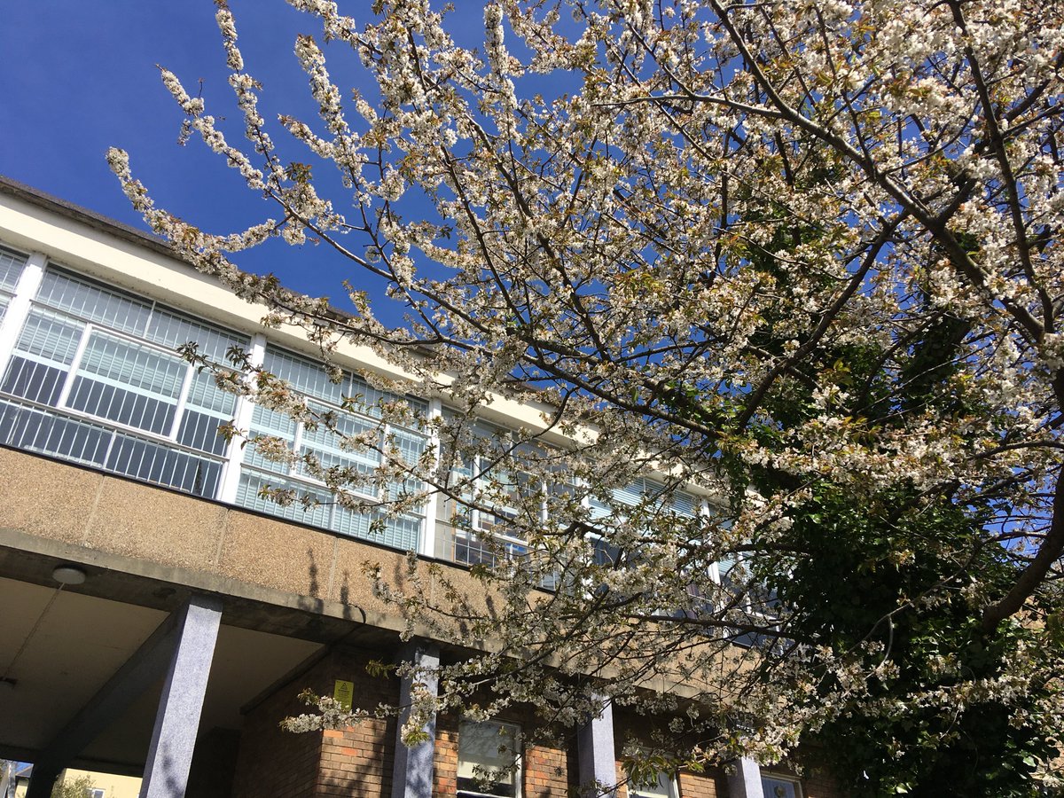 We are blossoming here at IMH in Durham as the fabulous #NNMHR2021 Congress team busy away inside running the show!