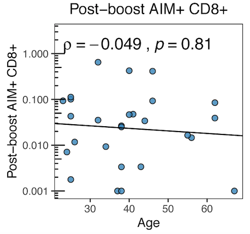 Overall, recovered people see no benefit to T cells from the second dose, whereas naive people clearly benefit.We also didn't see any decline in T cell responses with increasing age, in contrast with what we and others have shown for antibodies and memory B cells. Great news!