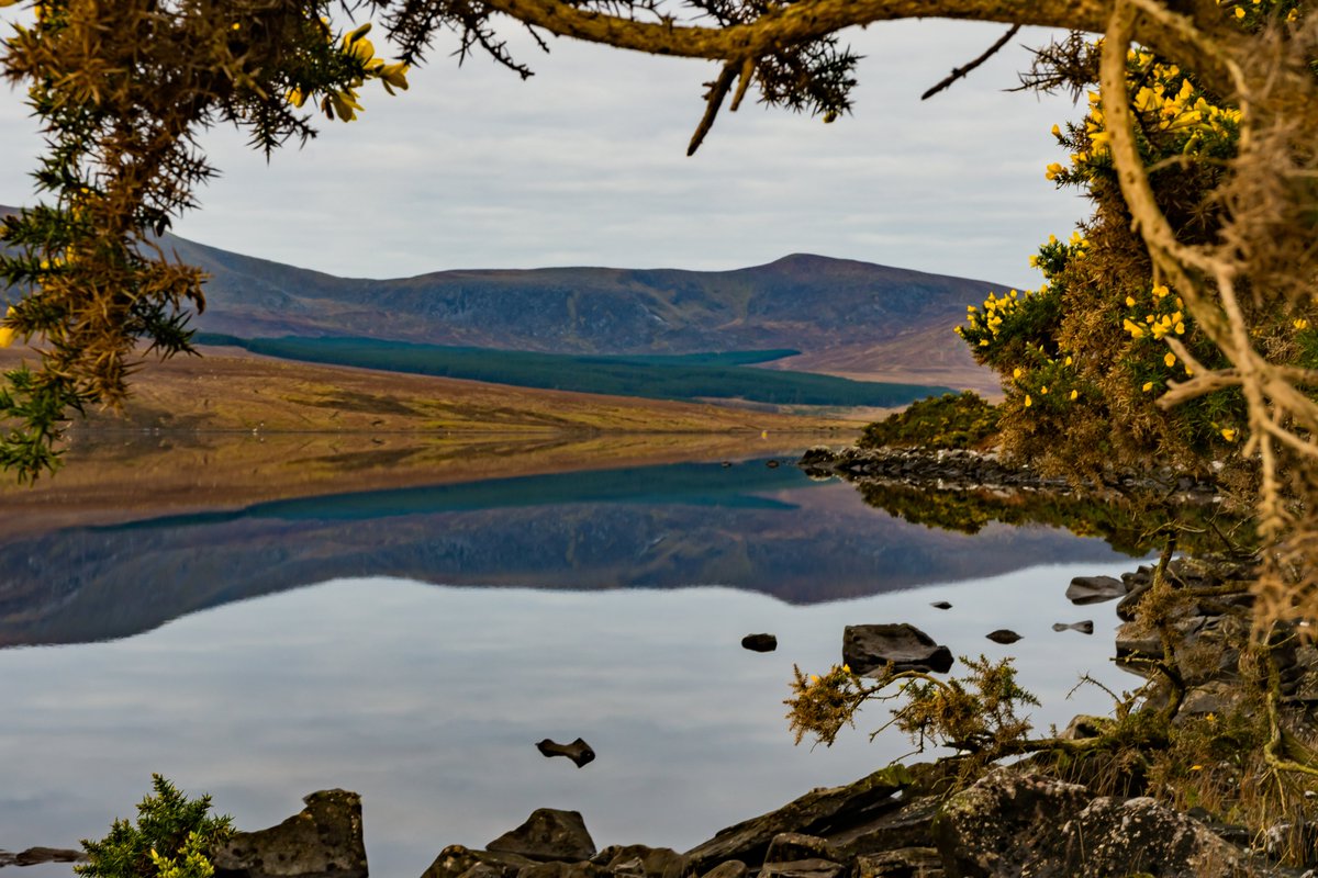 Elvira de Eyto (@edeeyto) on Twitter photo New paper led by Martin Dokulil, examining long term trends in the maximum surface water temperature of lakes across Europe: Lough Feeagh not warming as much as others: moderating influence of the Gulf Stream probably 🌞📈
<a href="/MarineInst/">Marine Institute</a> #BurrishooleLTER
link.springer.com/article/10.100… New paper led by Martin Dokulil, examining long term trends in the maximum surface water temperature of lakes across Europe: Lough Feeagh not warming as much as others: moderating influence of the Gulf Stream probably 🌞📈
<a href="/MarineInst/">Marine Institute</a> #BurrishooleLTER
link.springer.com/article/10.100…