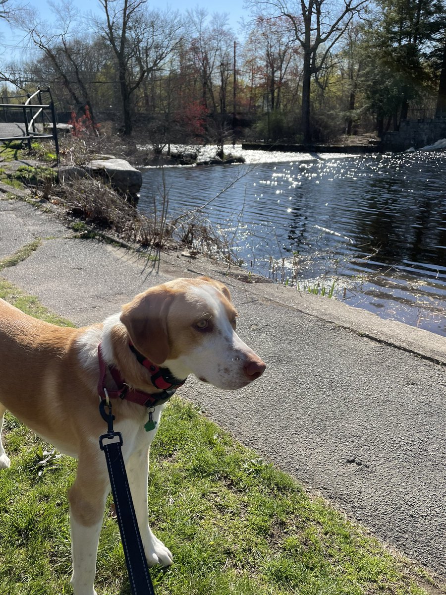 MILE 9.3 — NATICK Mass. We explored our first nature and as importantly our first piece of historic infrastructure.