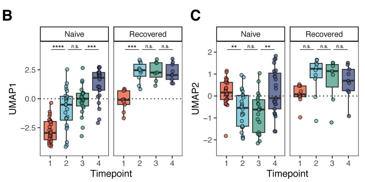This analysis revealed a dynamic and coordinated immune response to vaccination. It also highlights the importance of both doses of vaccine in people who haven't had COVID-19 to achieve optimal immunity, while only a single dose is needed for those who have recovered from COVID.