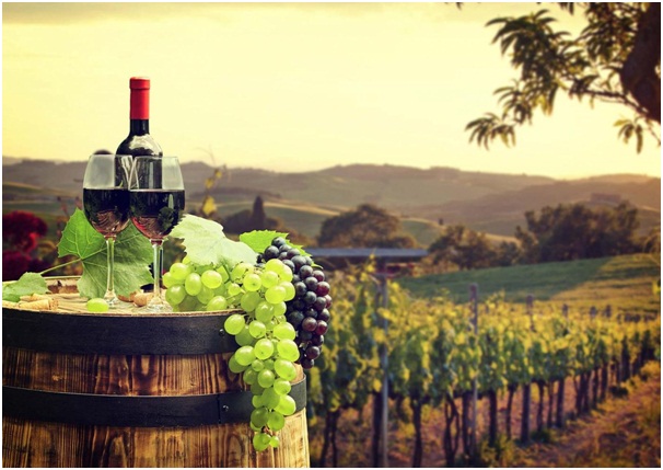 Celebrate Mom at the Vineyards??? conta.cc/3sK5aS9