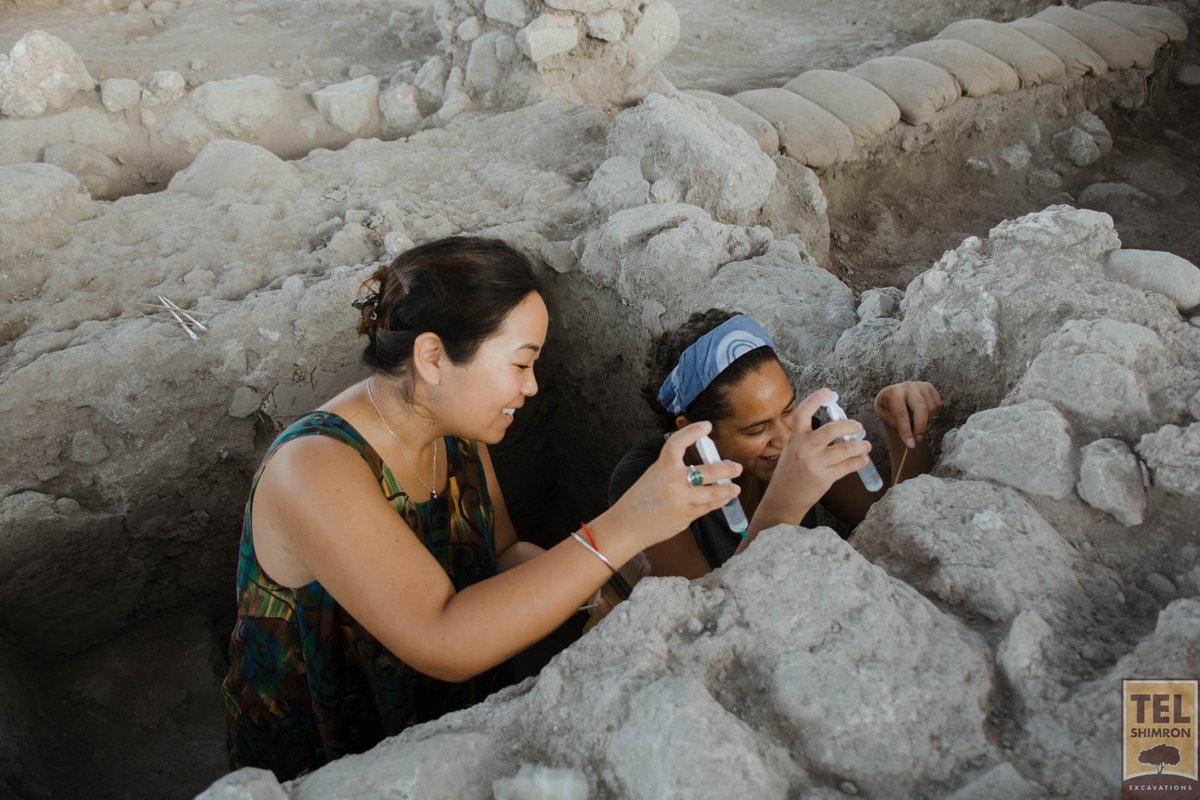 TelShimron's tweet photo. Protecting plaster lining the mikveh excavated in 2017. #Israel #archaeology #FieldExcavation #JoinUs2021 https://t.co/FtA02kf22r