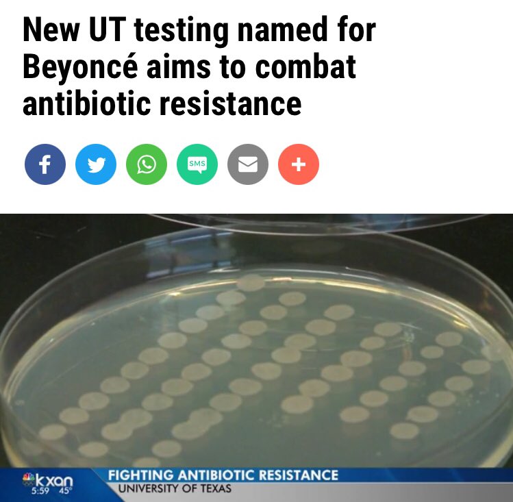 A drug discovery tool that was invented to combat antibiotic resistance was named SLAY (Surface Localized Antimicrobial Display) after Formation.