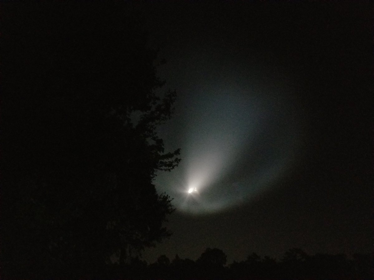 NicoleCLindsay's tweet photo. Querying later today! I feel like I'm gonna puke! π¬ Here, have some fuckin rad rocket launch pics from this a.m. π€ππ€
#writingcommunity #amquerying #amnervous https://t.co/wQZhR4gjBt