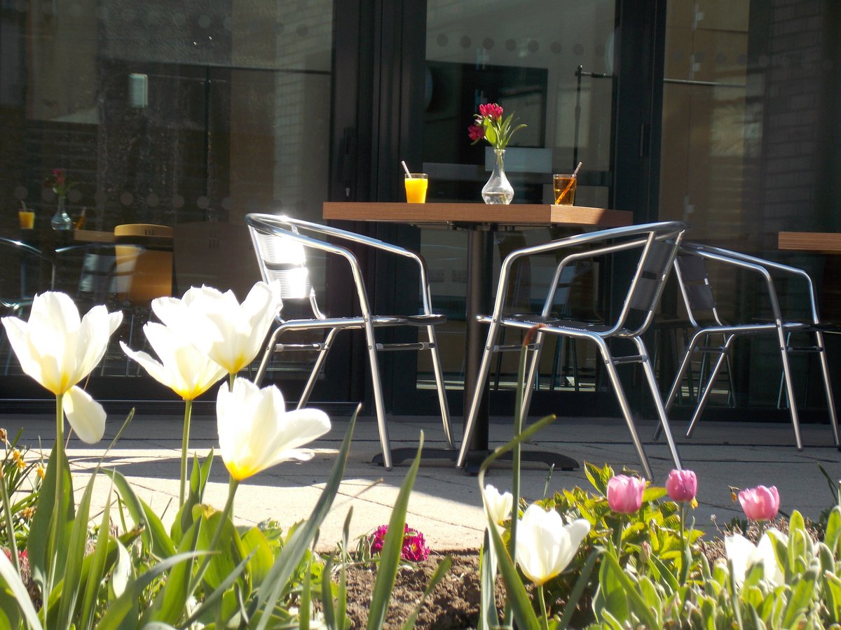 Glorious day at The Fraser Centre! We can't wait to welcome you all back on Tuesday 27th for our Cafe reopening! Hopefully the sunshine continues so you can enjoy our courtyard garden outdoor seating. Open Tuesday - Friday 9am-3pm.
