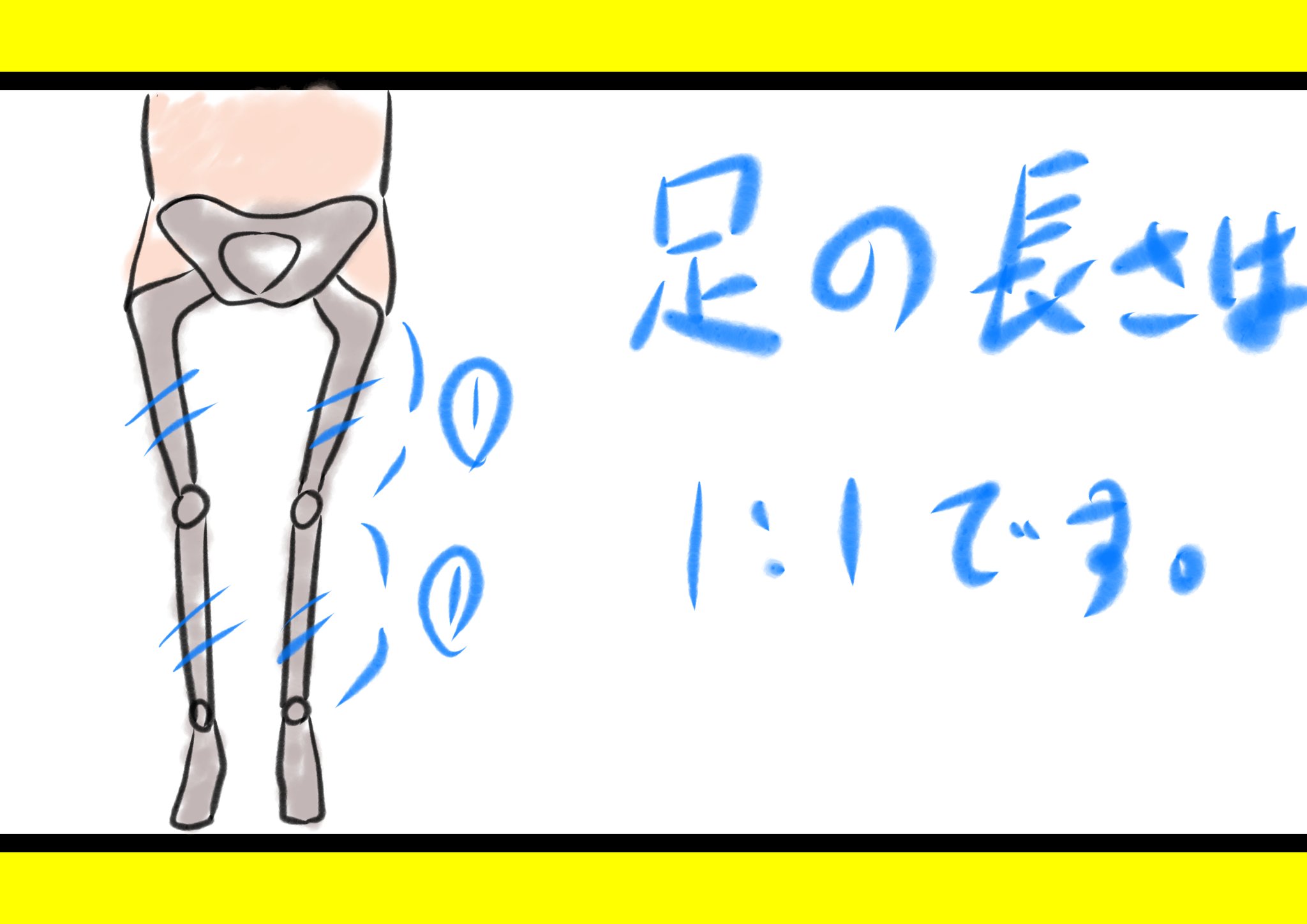 かんたんイラストのイエローヤギ 足のアタリのワンポイント 下画像のように 足の長さのアタリは 約１対１です 先にアタリで 比率を決めてから 描くとゆがみが 少なくなるかもです 足のアタリの考え方 T Co Eugigficpa Twitter
