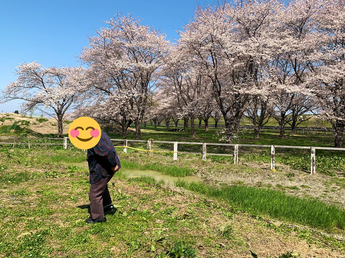 花巻天気情報 ずっぱりjapan 安心安全情報 花巻天気情報 ずっぱりjapan 安心安全情報