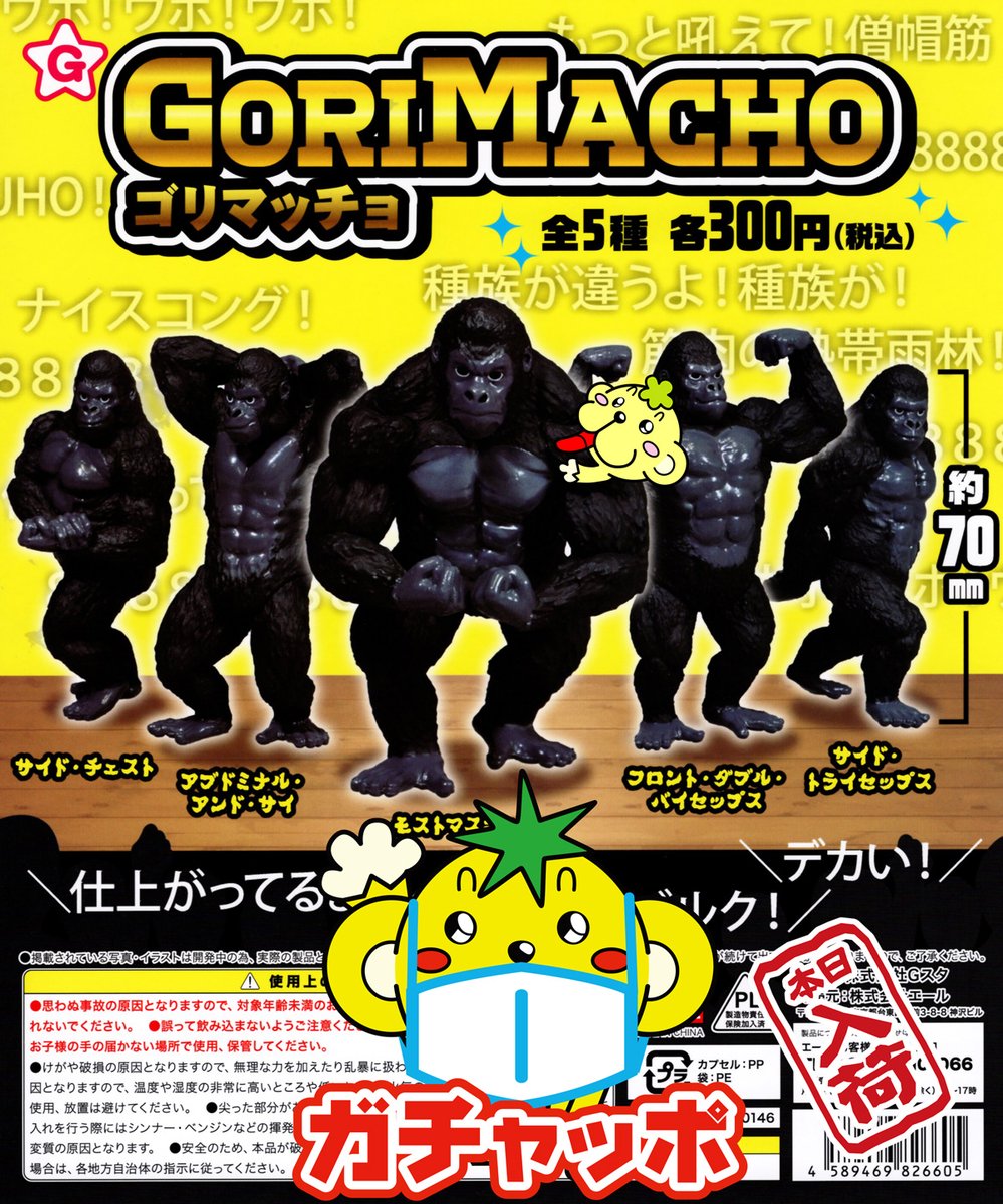 【2点セット】【追跡】GORIMACHO ゴリマッチョ 全5種セット
