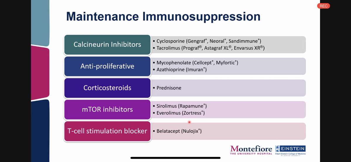 An incredible overview of immunosuppression for 🫀transplant  recipients by the one and only <a href="/PharmDaryl/">Daryl Nnani, PharmD, BCTXP</a> at this morning’s #MonteHeart Fellows Conference. 

A sneak peek ⬇️

<a href="/ISHLT/">The ISHLT</a> #ISHLT2021