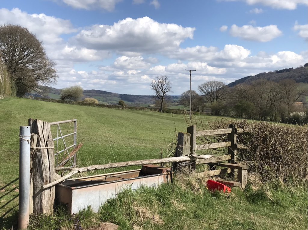 finstumpf's tweet photo. @andrew_thin Had a walk and talk meeting with @RamblersAmanda of @RamblersCymru yesterday regarding #PathsforPeople as a follow up to #MarkMyPaths with @MonmouthshireCC 

Great ideas exchanged in the best meeting room ever @MonCountryside https://t.co/Uxgn6pnq7e