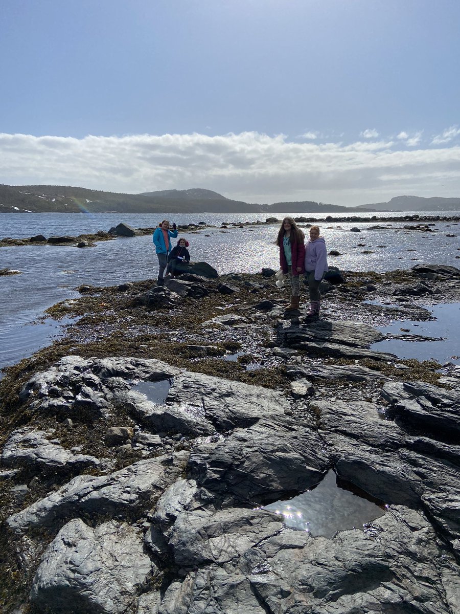 TEMstars's tweet photo. A little bit of Science, Health, and Art taking place in our own back yard on this beautiful day. And most importantly, making connections and memories with our students! @NLESDCA https://t.co/jDyTgmWFgM