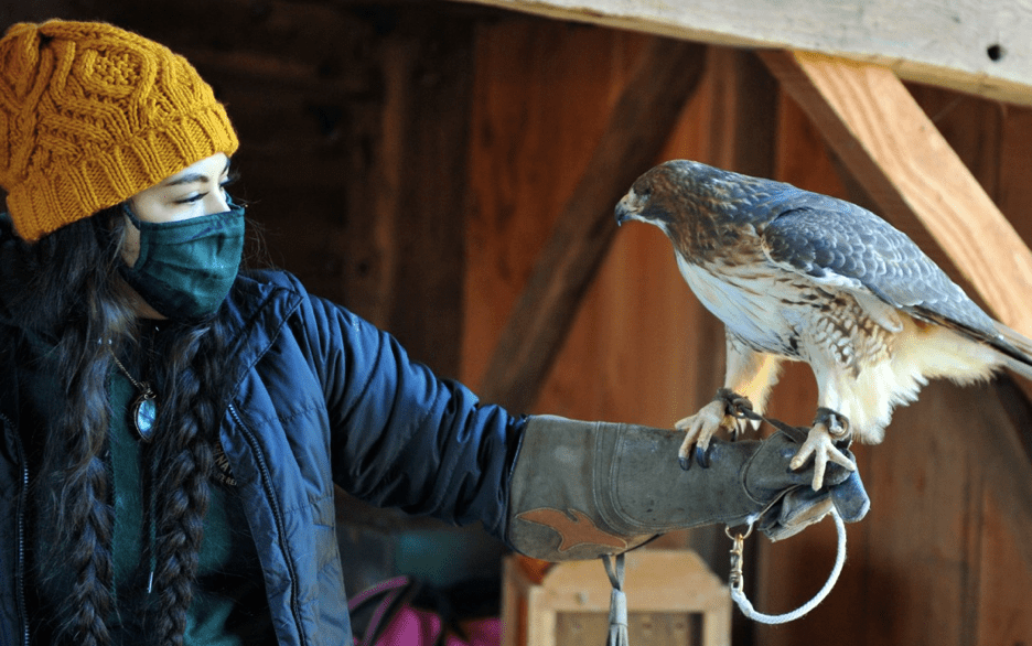 tspoetry's tweet photo. From dreams of Belize to birding on Long Island beaches, from Costa Rica to Sweetbriar Nature Center

[senior Tiffani Rushford inspires!]

https://t.co/CEM3TZjmPQ

#birding #birds #nature #poeticearthmonth #environmentalstudies @SUNY_Purchase @soniabarkat https://t.co/ajt1QLQpvv