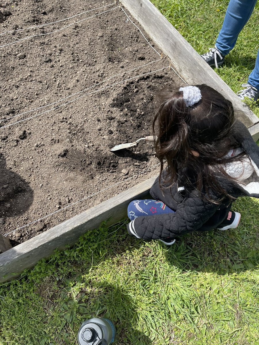 SoleidyE's tweet photo. Enjoyed planting some lettuce seeds on Earth day! #salads #MsEstevezWOS https://t.co/WotXKXHqgi
