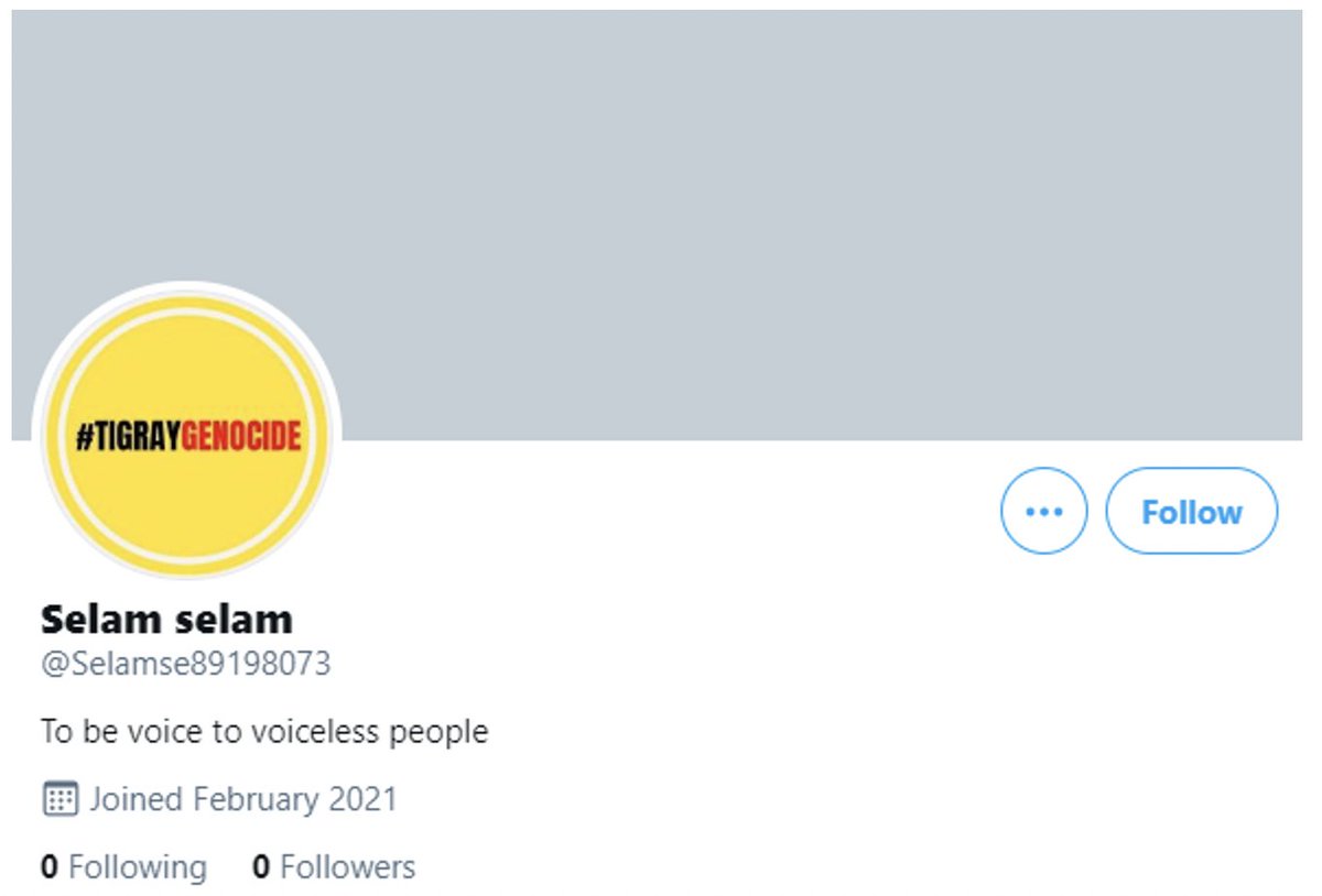 These groups encourage diaspora members who, by their own admission, had little to no understanding of Twitter, to set up accounts to amplify their content. This is one of the primary reasons such a large number of accounts were newly created and relatively blank.