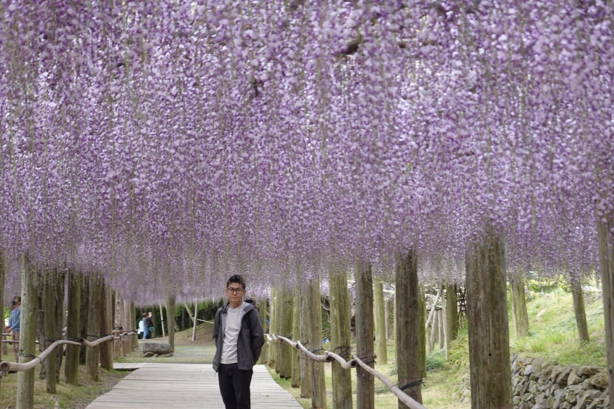 Y_KING_ab's tweet photo. 河内藤園🇯🇵

#河内藤園 https://t.co/qDwRTKbeW0