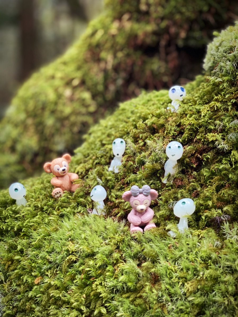 木霊と仲良くなったよw🐻🐻🎀💕
#苔むす森
#白谷雲水峡