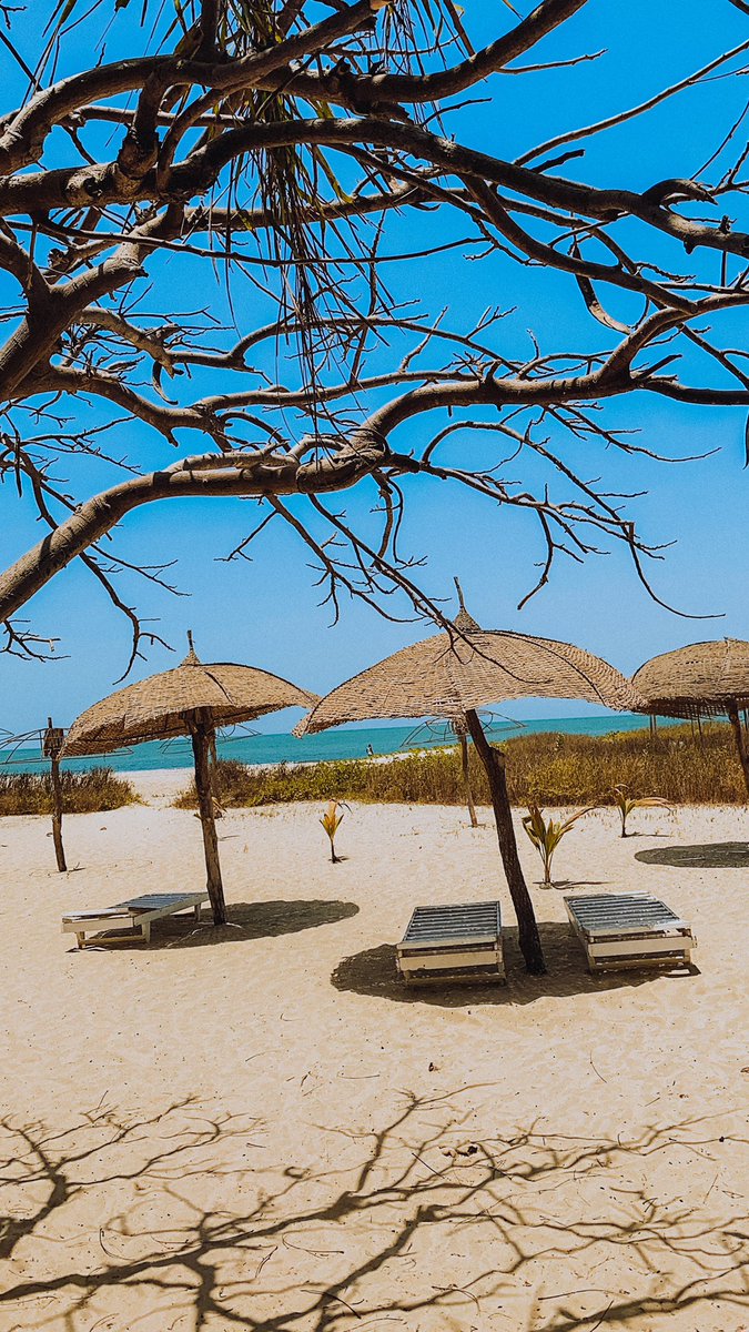 Calypso beach bar, Bakau, The Gambia and the crocodile pool. Beach, crocodile pool and beautiful sceneries.