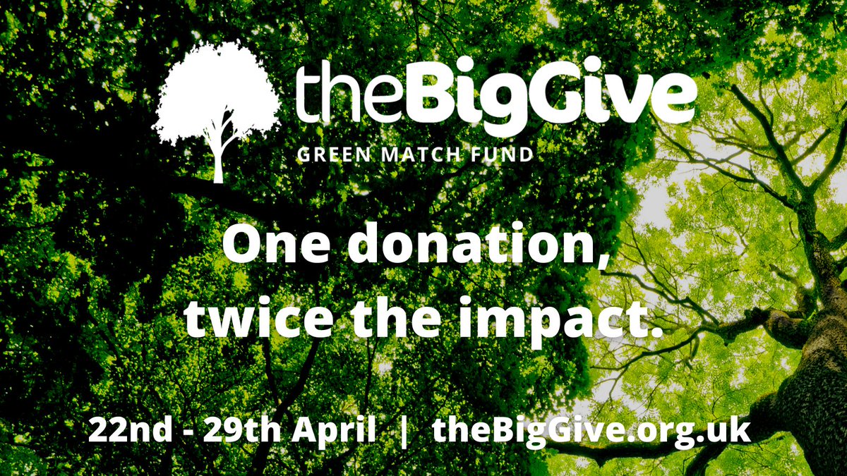One day into #greenmatchfund and already over £1k donated to <a href="/CREATIVenergie/">creativenergie</a>'s Poo Power: Gas from Dung Online Training Course! Would you like to support us too? Give via
bit.ly/BiogasOnline
#poopower #sustainableenergy #onedonationtwicetheimpact