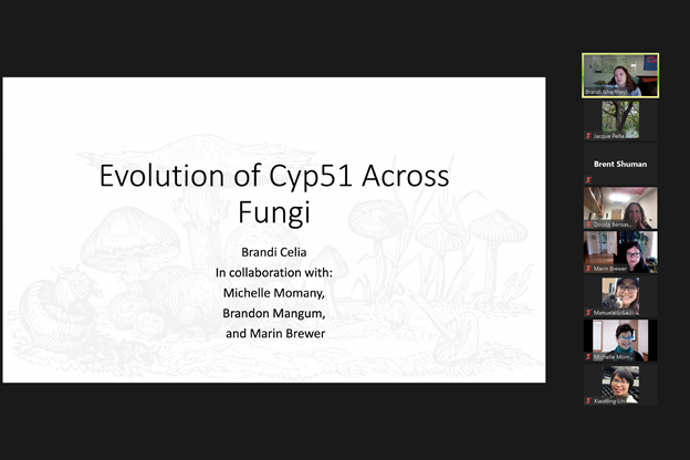 Happy #FungalFriday! Thanks <a href="/BrandiCelia/">Brandi, PhD</a> from the @mcmomany lab for sharing your cool work about Cyp51 evolution across #fungi! <a href="/UGAFungalGroup/">FungalGroup</a> <a href="/uga_plantbio/">UGA Plant Biology</a>