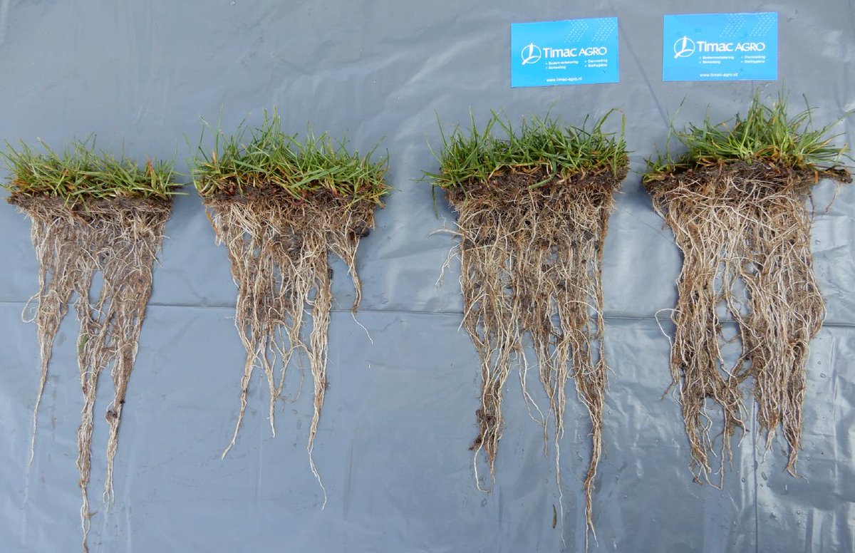 Met bodemprofielsteker aan de slag bij graszodekweker.
Verschil waarneembaar in wortelvorming tussen  PhysiomaX behandeld en onbehandeld.