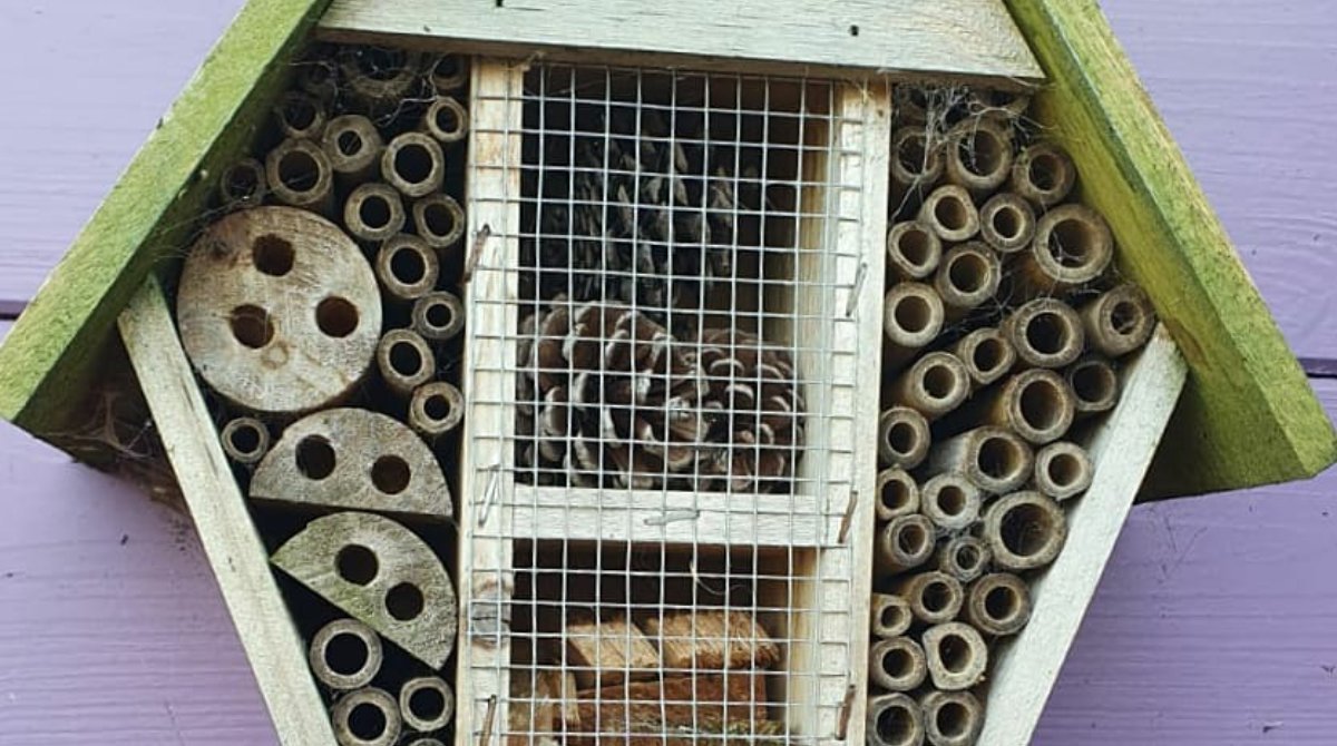EnvironmentPage's tweet image. Some lovely bug hotels we've come across recently! 😄

Great to see people looking after all creatures, great and small! 🐞

Send in a photo of yours if you have one too! 📸