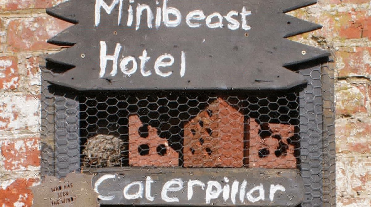EnvironmentPage's tweet image. Some lovely bug hotels we've come across recently! 😄

Great to see people looking after all creatures, great and small! 🐞

Send in a photo of yours if you have one too! 📸