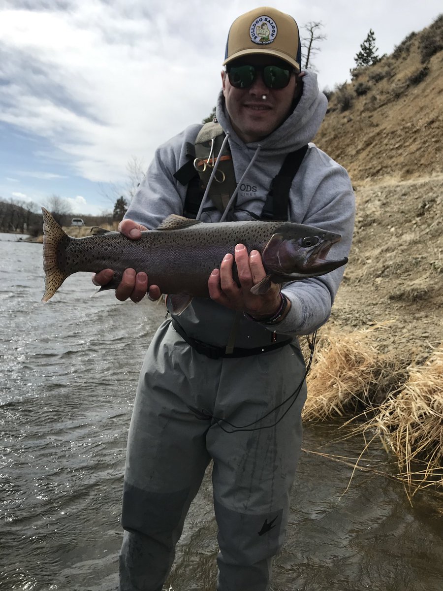 BJ Robertson tweet media