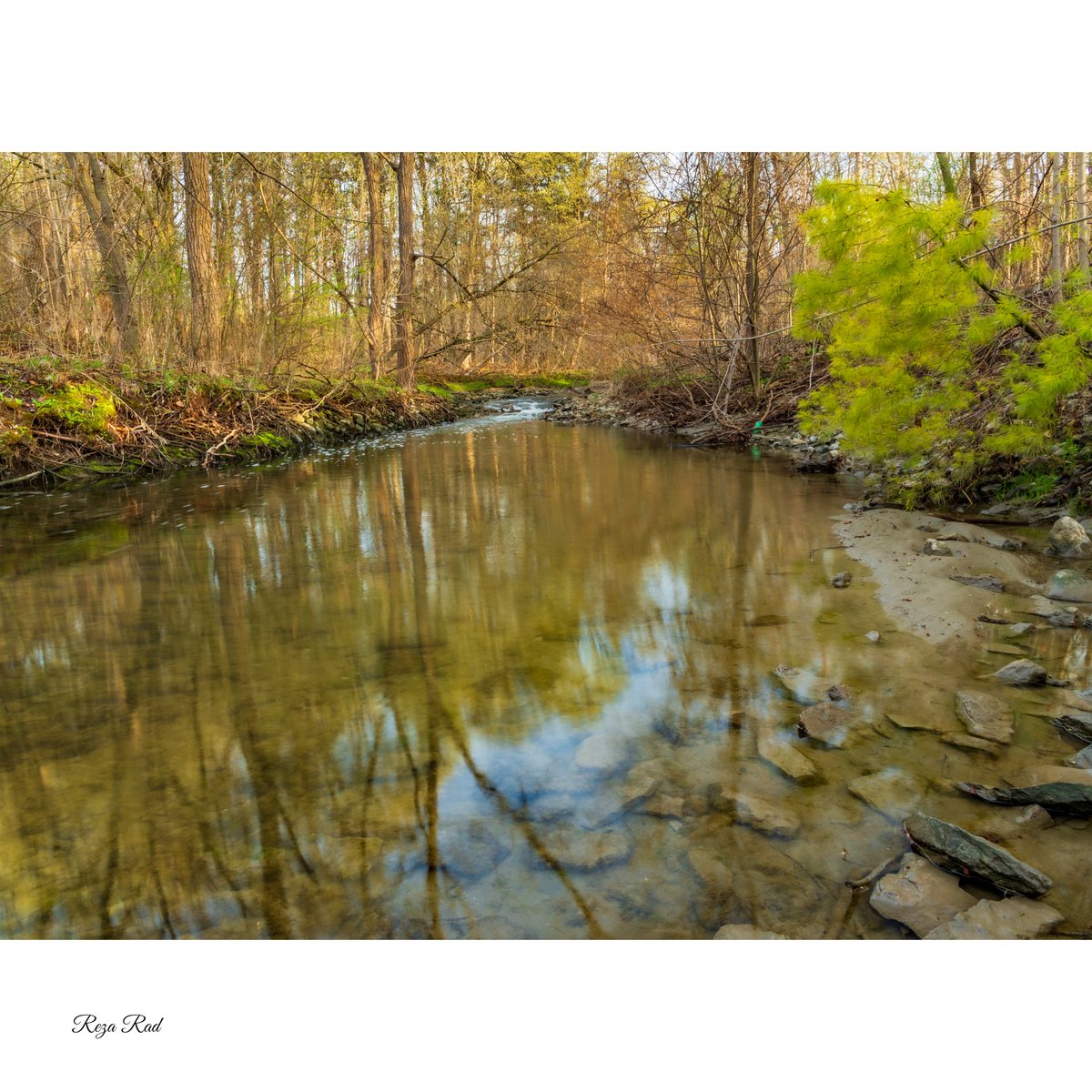 It was a new #experience, a new path, new views, and a lot to digest. 

#photography #nature #naturephotography #naturephotographer #natgeophotography #landscapephotography #landscapephoto #landscapephotographer #torontolifestyle #earlymorning #earlymorningphotography #travel