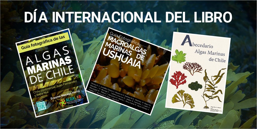 AlgaLab's tweet photo. En el #DiaInternacionaldelLibro💚
les invitamos a visitar nuestra web y descargar algunas de las guías y material sobre algas ☺️ 📚.
➡️https://t.co/pK4rOPCiFG 
#DiaDelLibro 
#DiaMundialDelLibro 
#DiaInternacionaldelLibro2021  
#Algas https://t.co/YqwSpMGonE