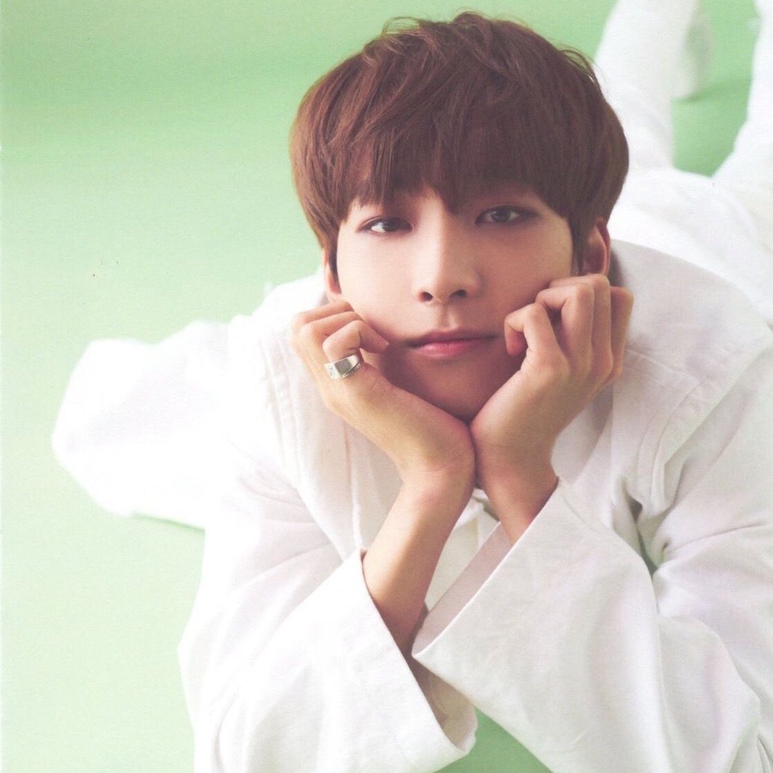 wonwoo ; green— the colour of healing, implying unconditional love, forgiveness, compassion, growth, calmness, compassion and generosity. Good to have around during a crisis as they remain calm and take control of the situation until it is resolved.