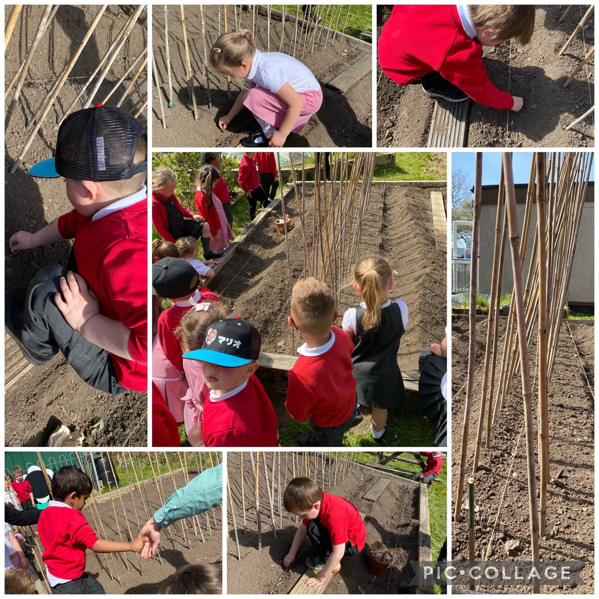 Today we planted our very own onions. We cannot wait to share with you the process of them growing 🧅