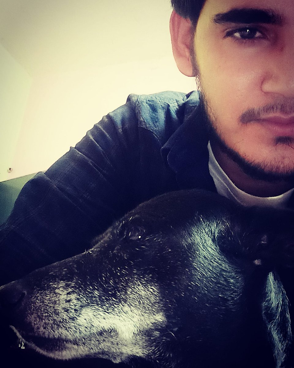 anu_kumar4505's tweet photo. 🦴Kali..🦮
SH∆DOW... https://t.co/zjbQXgJIMz