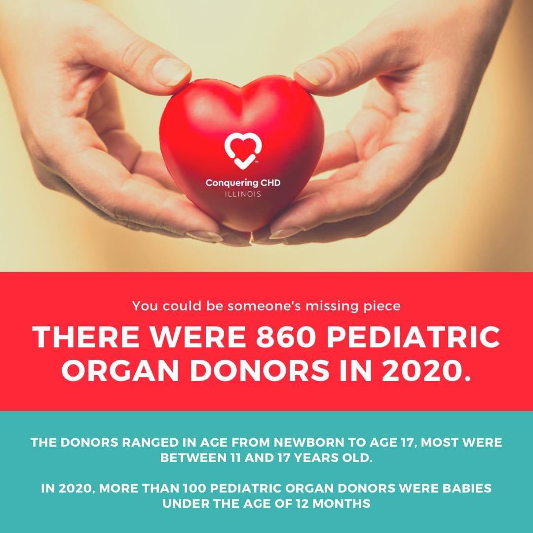 As an organ donor you can save lives! Here are the stats for the pediatric organ donors in 2020!

Are you an organ recipient? If so we’d love to hear your story! 

#pediatrictransplantweek #organdonor #chd #chdawareness #conqueringchdinil #babyorgandonor #april2021