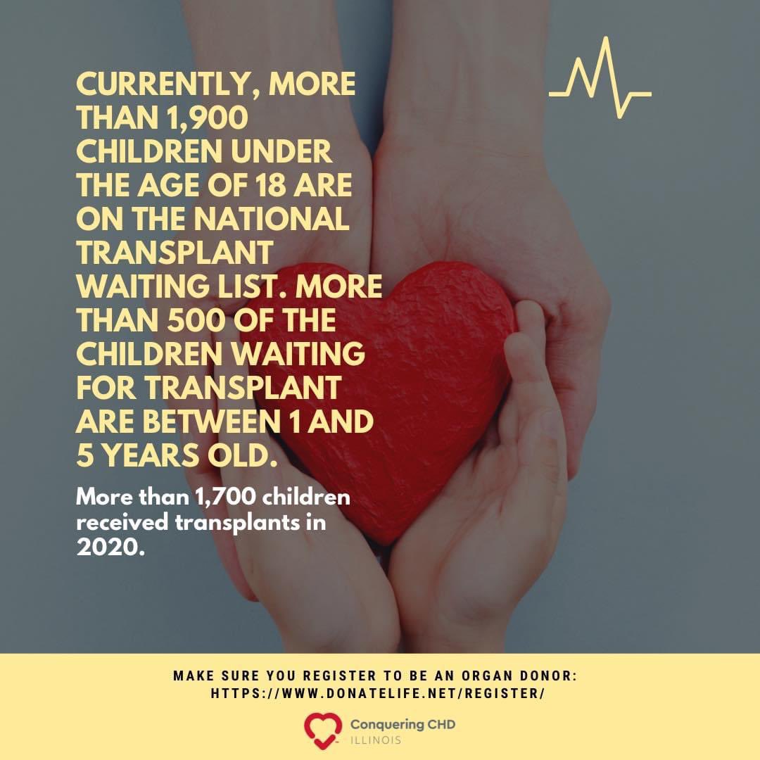 Did you know...
More than 1,900 children under the age of 18 are on the national transplant waiting list! 

Tell us your story! Are you waiting for a transplant (not only heart) or have u been a transplant recipient? 

#pediatrictransplantweek2021 #conqueringchdinil #chdawareness