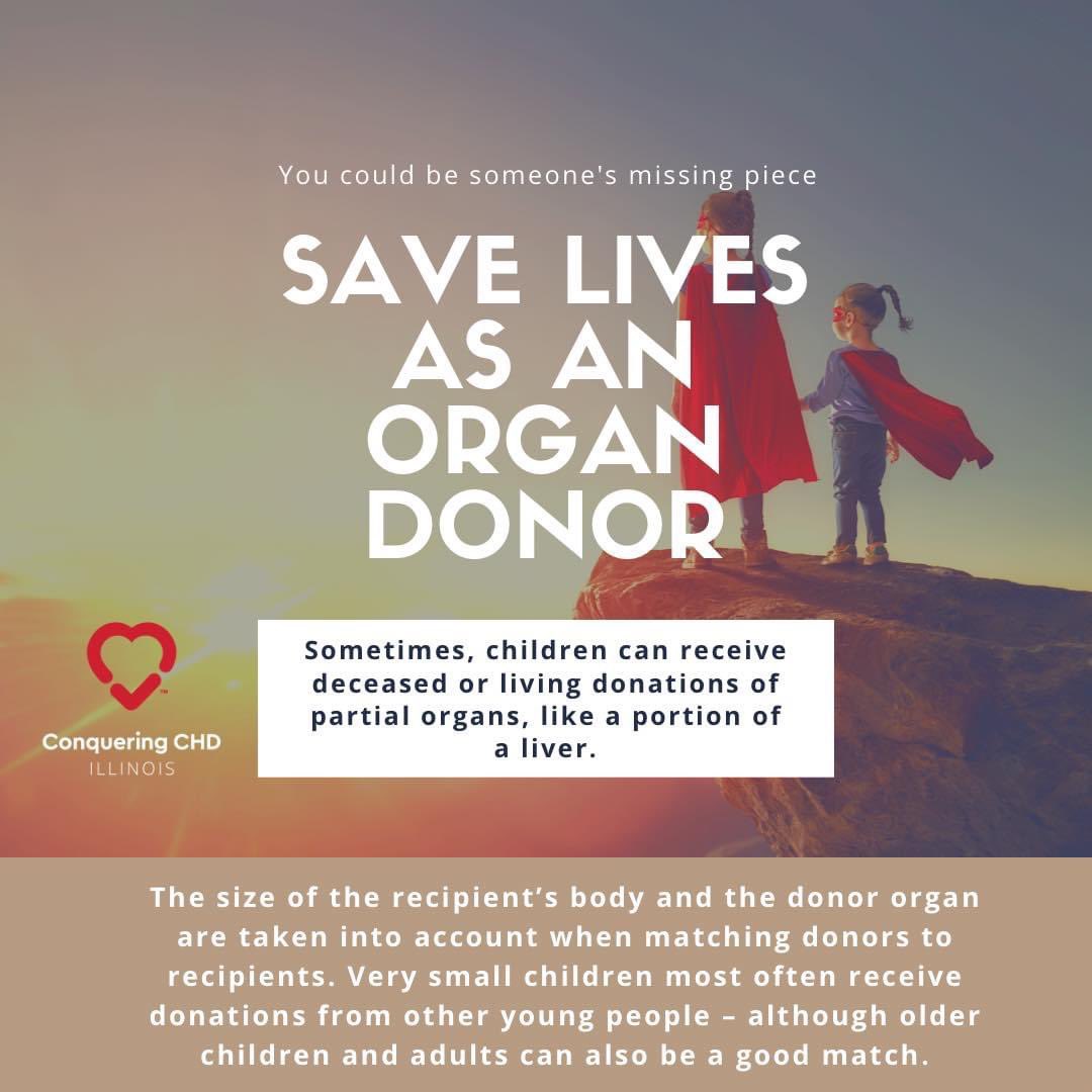 You could be a child’s missing piece. Save lives as an organ donor! Source: donatelife.net #conqueringchdinil #fact #pediatrictransplant #pediatrictransplantweek #april2021 #chd #chdawareness #chdwarrior