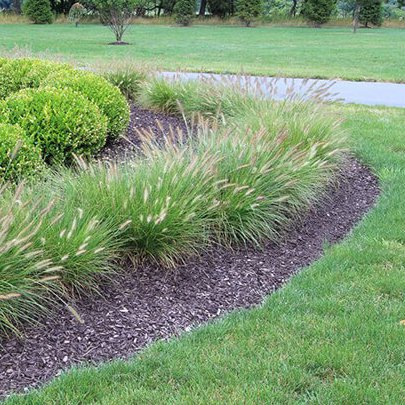 Is your lawn not quite as lush as your neighbors? Irrigation, fertilization, mowing height, and disease management are just some of the factors that can impact the health of your turf; and our team has the knowledge to help your lawn thrive. Call (972) 481-9565 today.