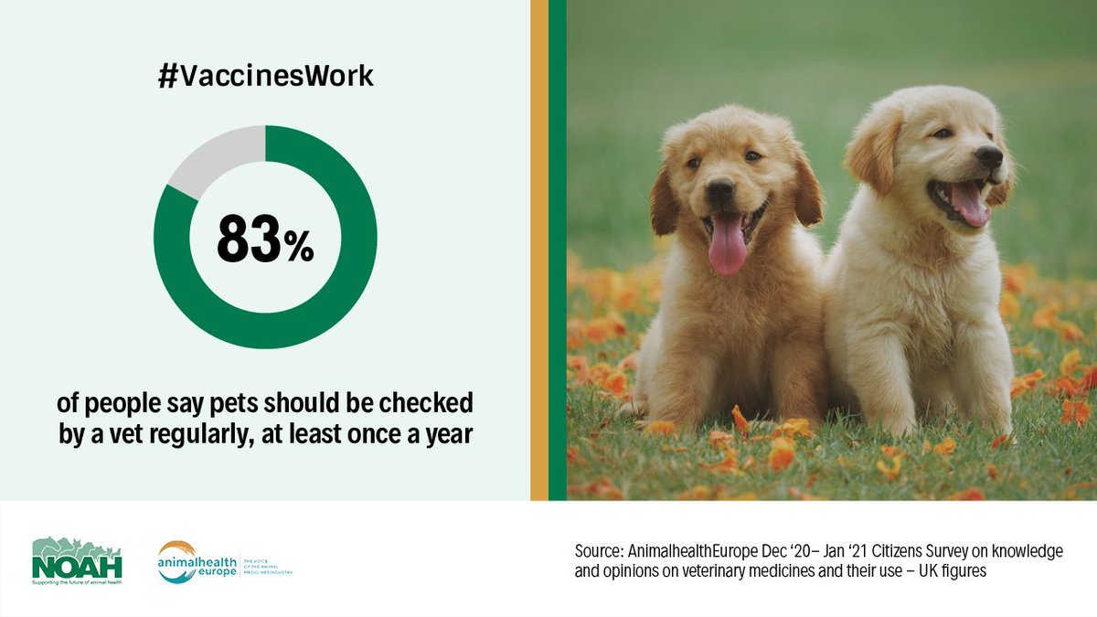Tomorrow is #WorldVeterinaryDay - thanks to our vets for adapting to challenging times over the past year, still there protecting our #pets #Talktoyourvet #VaccinesWork 👏👏👏ow.ly/kGAW50EwaWU