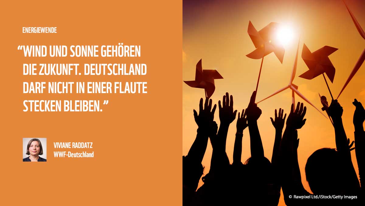 WWF_Deutschland's tweet image. Deutschland ist vielleicht das Geburtsland der #Energiewende, schreibt @RaddatzWWF in unserem Blog. Aber das Land hat den Anschluss verloren. Und das ist gefährlich, aus verschiedenen Gründen. Lest selbst: blog.wwf.de/erneuerbare-en… #TagderErneuerbaren