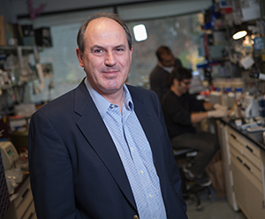UMass Molecular Medicine (@progmolmed) on Twitter photo Congratulations to Roger J Davis on his election to the American Academy of Arts & Sciences!! tinyurl.com/2v269yty <a href="/americanacad/">American Academy of Arts & Sciences</a> <a href="/RogerJDavis1/">Roger J Davis</a> @UMassMedical Congratulations to Roger J Davis on his election to the American Academy of Arts & Sciences!! tinyurl.com/2v269yty <a href="/americanacad/">American Academy of Arts & Sciences</a> <a href="/RogerJDavis1/">Roger J Davis</a> @UMassMedical