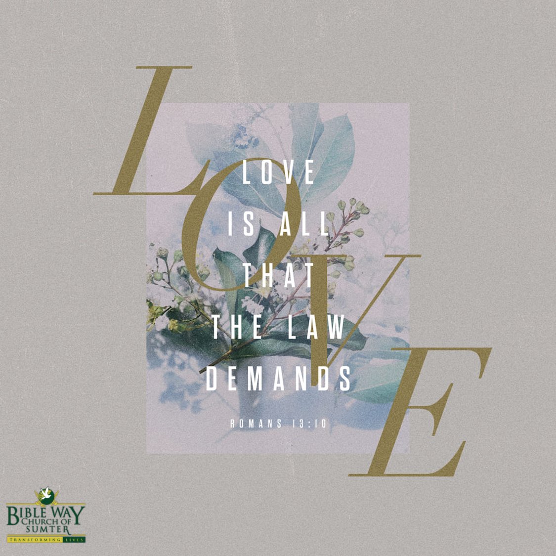 BibleWaySumter's tweet photo. #BibleWaySumter #DoingLifeTogether #TransformingLives https://t.co/I0lE50zXnh