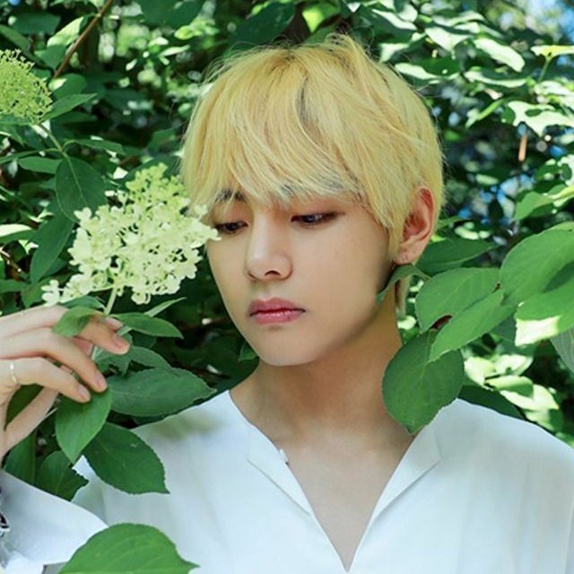 Kim Taehyung as Vincent Van Gogh& #39;s pieces of art — a necessary thread;
