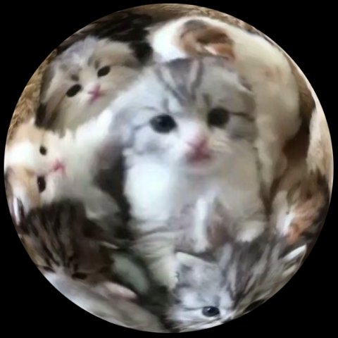 นี่มานนนน?!